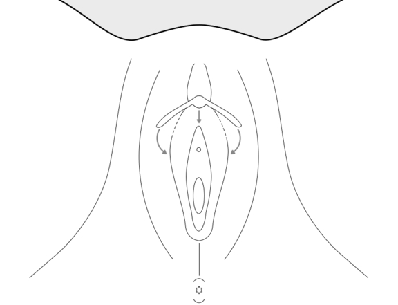 Intimchirurgie, Plastische Chirurgie Berlin, AesthetiCum, Dr. Ahrens, Dr. Fritzsch