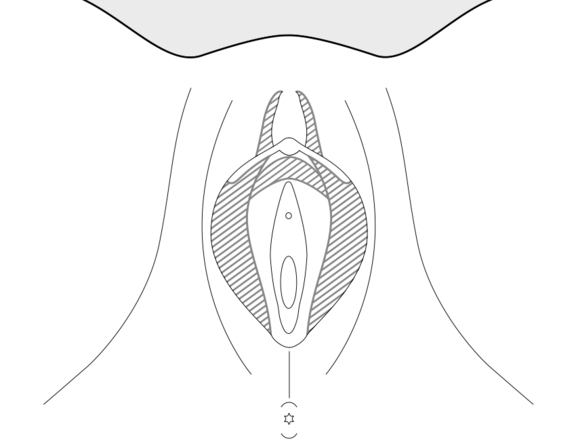 Intimchirurgie, Plastische Chirurgie Berlin, AesthetiCum, Dr. Ahrens, Dr. Fritzsch